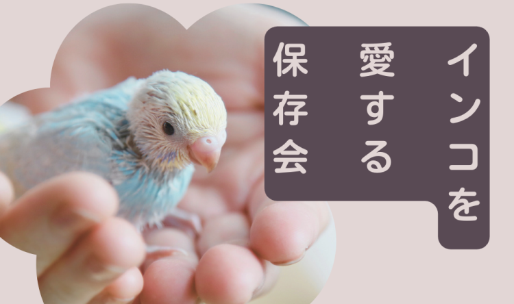 インコを愛する保存会